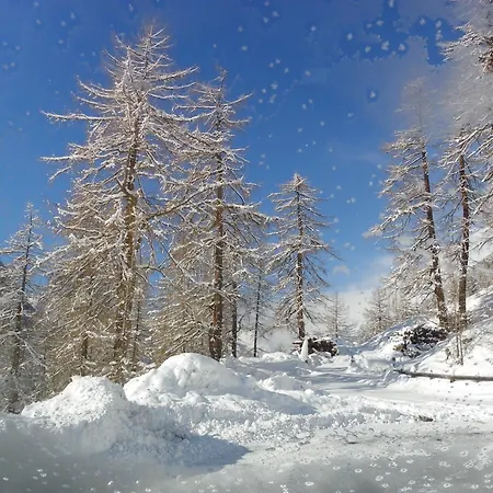 Gaestehaus Berghof Schoepf לאנגנפלד