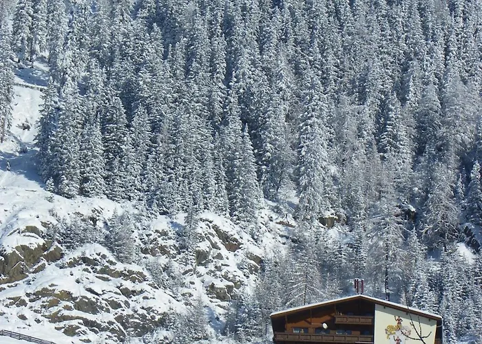 Gaestehaus Berghof Schoepf 란켄펠트