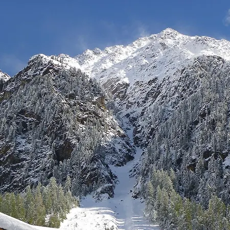 ベッド・アンド・ブレックファスト Gaestehaus Berghof Schoepf